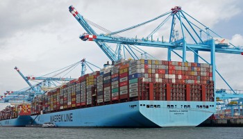 IMO Adopts New Guidelines for Fighting Wildlife Trafficking on the High Seas