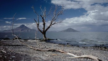 FAQ: Nicaragua’s Shrinking Forests