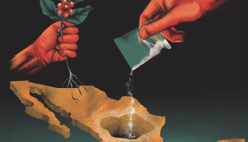 From Poppy to Coca: The New Crops in Guerrero